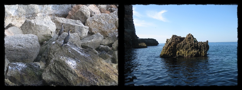 F022.jpg